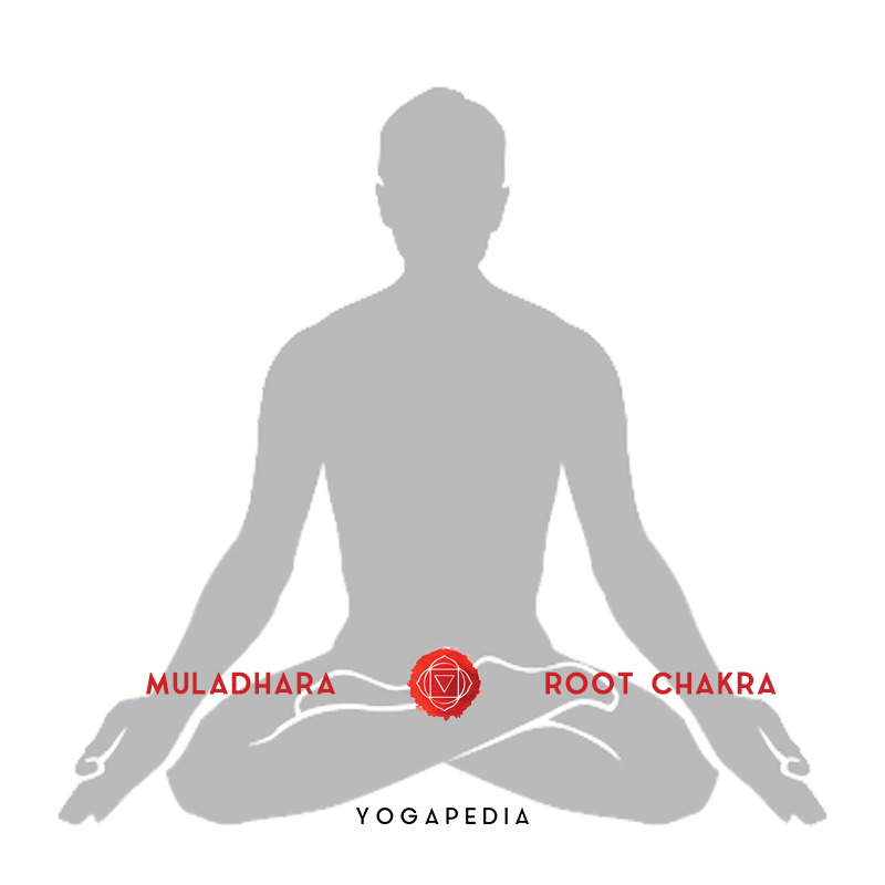 muladhara root chakra