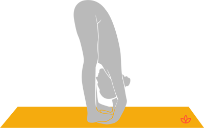 Standing Forward Bend