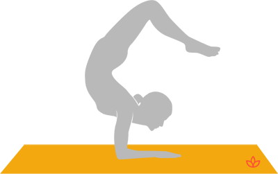 scorpion pose vrschikasana yoga asana