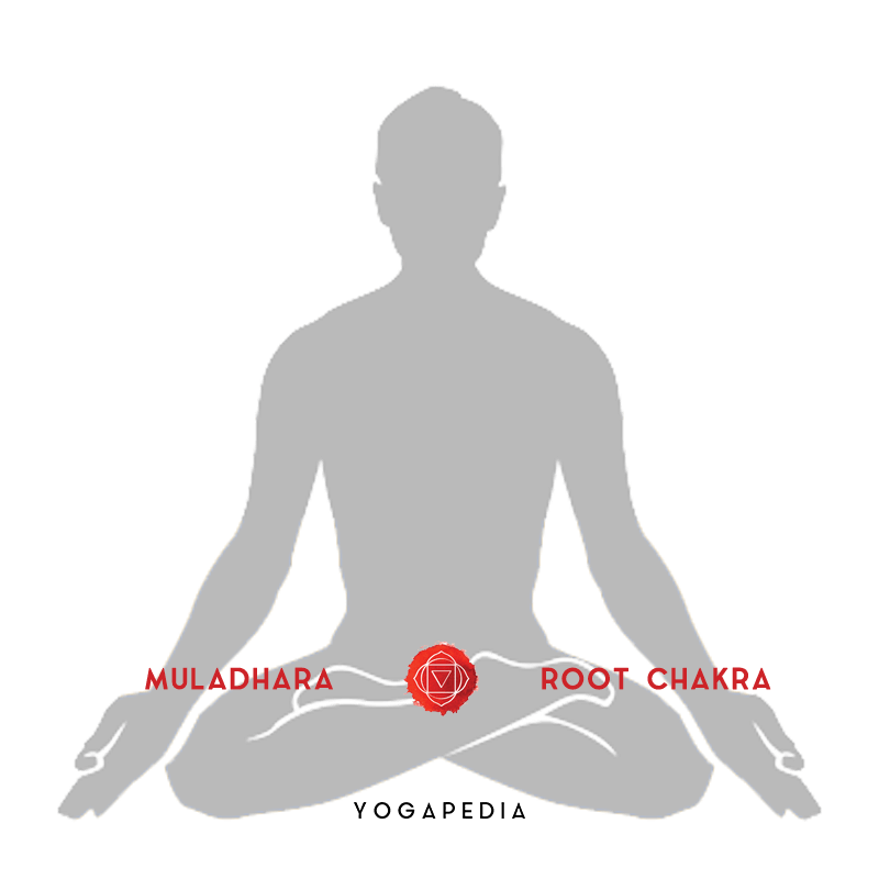 muladhara root chakra
